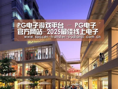 案例展示一(图1)