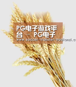 PG电子游戏平台 - PG电子官方网站-2025最佳线上电子平台