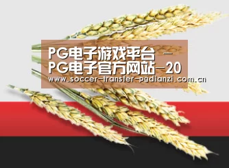 PG电子游戏平台 - PG电子官方网站-2025最佳线上电子平台