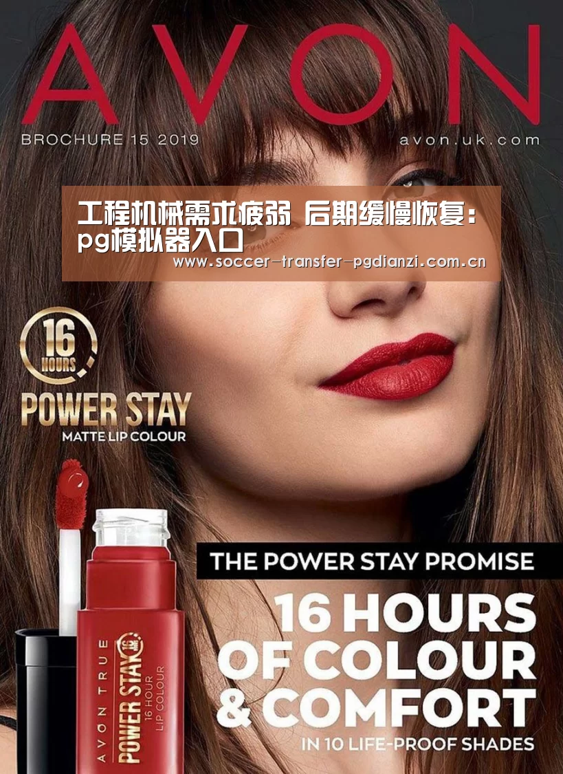 工程机械需求疲弱 后期缓慢恢复:pg模拟器入口(图2) 工程机械需求疲弱 后期缓慢恢复:pg模拟器入口(图2)